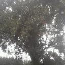 benjamin espina - @benjita145 - Twitter