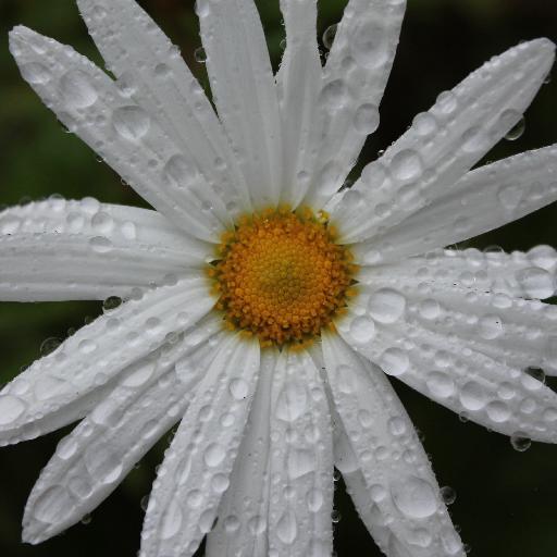 amparita7's profile picture. Enfermera #SaludMental