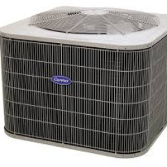 ACcanogapark's profile picture. 