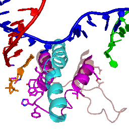 Professor, Department of Biological Sciences, University of Pittsburgh