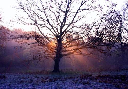 JoanEscudero's profile picture. 