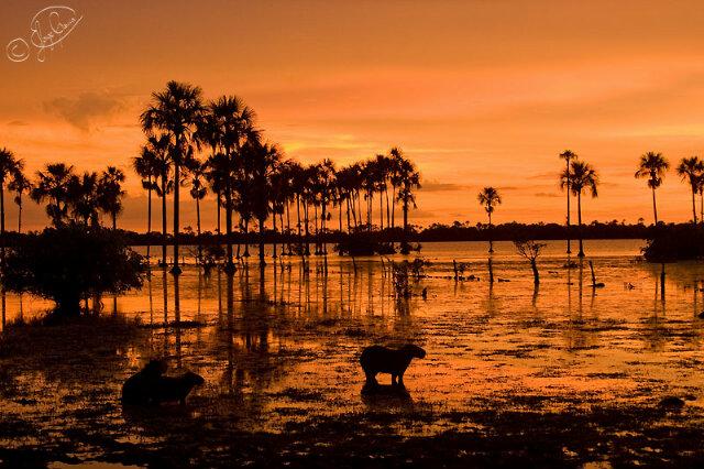 publieventosval's profile picture. 