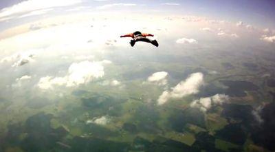 mutzumfliegen's profile picture. 