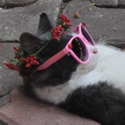 HollyParfoot's profile picture. tweet… (personal not work account)