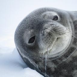 Gabriela Roldan, PhD: interested in Antarctic gateway cities, geopolitics, identities, current affairs & science in 🇦🇶 -mum, wife, Latina💙Not all tweets mine