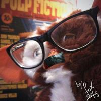 David Ibáñez-Fox (@srfox) 's Twitter Profile