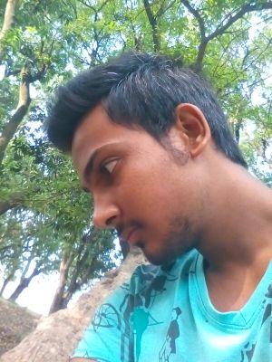 ls81175's profile picture. 