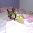 Andy Parra (@010466Gio) Twitter