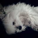 kylie Malone - @kyliemm69 - Twitter