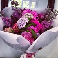 بلقيس (@balqees007) 's Twitter Profile
