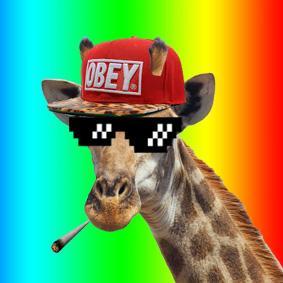 ExsCrazy's profile picture. Please sir may i have some more subscribers