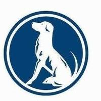 The Dog (@grundisburghdog) 's Twitter Profile
