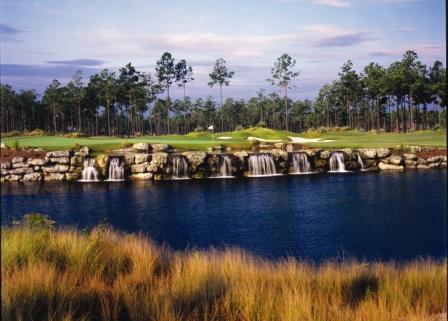 The Big Cats Golf Courses of Ocean Ridge Plantation in Southeastern NC.  Leopard's Chase, Tiger's Eye, Panther's Run and Lion's Paw