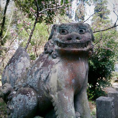 「日月神示」関連、月刊『玉響』・中矢伸一出版物等のご案内、その他、思いつくままスタッフがつぶやきます。 日本は世界の雛型。 日本が良くならねば世界は良くならない！ 🎌✨日本弥栄⇒世界弥栄🌎✨