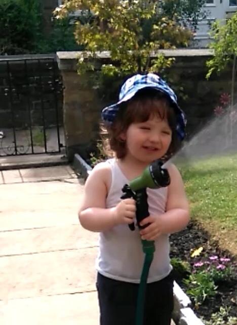 Fivedogbob's profile picture. Personally I'm a cat person!!