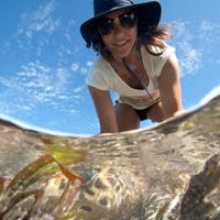 Pippa Ehrlich (@pippaehrlich) 's Twitter Profile