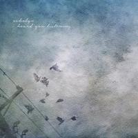 echolyn (@echolynband) 's Twitter Profile