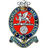 2PWRR_ARMYTIGERS (@tigers2pwrr) Twitter profile photo