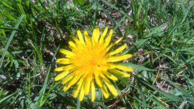 luisanamon's profile picture. 