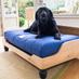 BerkeleyDogBeds (@BerkeleyDogBeds) Twitter profile photo