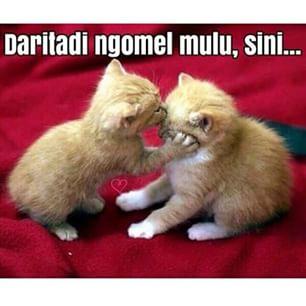 chachameili1's profile picture. 