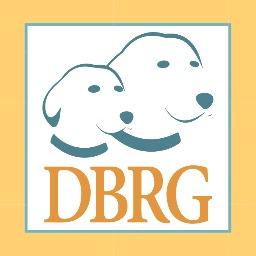 Promoting and supporting initiatives and reforms that will effectively improve dog welfare: genetic, breed health, breeding, puppy rearing and selling practices