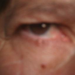 Domingosdommy0's profile picture. 