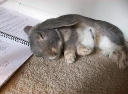 A collection of interesting SAT, college and general career/ education links.