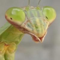 救空【スクエア】 (@sikaku615) 's Twitter Profile Photo