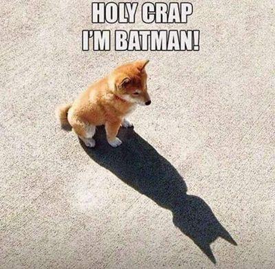 AkchoudharyAmit's profile picture. 