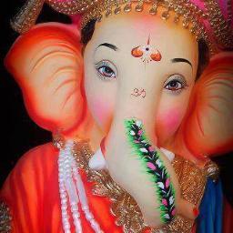 pushpalatapati1's profile picture. 
