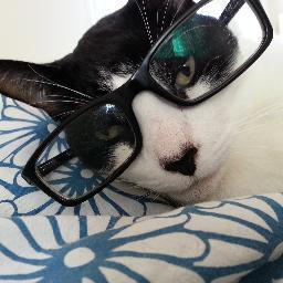 badbillingz's profile picture. doctor by choice and traveller by chance