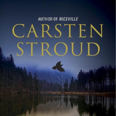 Official Twitter page for The Niceville Trilogy by Carsten Stroud - Coming August 2015 THE RECKONING