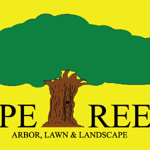 PetreeArbor's profile picture. Tree Service that specializes in Arboriculture. Services  Knoxville, Blount & Surrounding Counties.