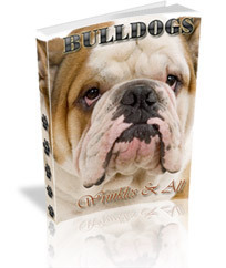 BulldogPuppies2's profile picture. Love Bulldog Puppies, any shape and size!