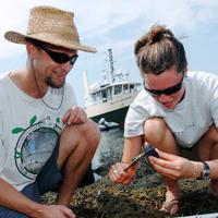 UNH Research (@unhresearch) 's Twitter Profile