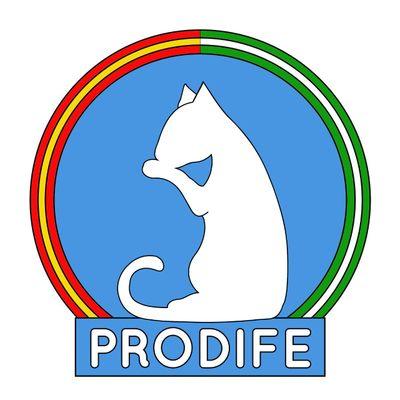 PRODIFE:Protección y Dignidad Felina
Asociación sin ánimo de lucro focalizada en el control de colonias a través del método CES(captura, esterilacion y suelta)