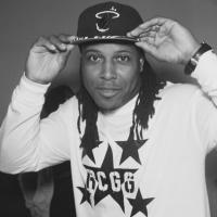 Al Gray (@algrezzygray) 's Twitter Profile