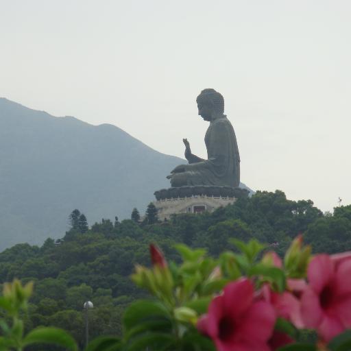 vincent_laplaze's profile picture. coachchig,Action Types, Wingwave, Magic words, EFT, Hypnose