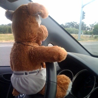 Ayricksays's profile picture. 