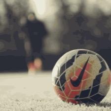 Soccer is my passion, Snowmobiling is my hobby. I'm 14 years old and if u don't like me that's okay, not everyone has good tatse:) sc and kik-cjcarrell