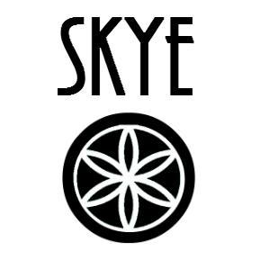 They say the youth are the leaders of tomorrow, SKYE says we are the leaders of today.