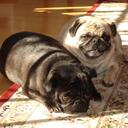 Carol Prather - @carolprather62 - Twitter