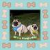 Grim & Reaper (@grimnreaperpugs) Twitter profile photo Grim & Reaper (@grimnreaperpugs) Twitter profile photo
