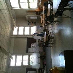 3ZoeMaria's profile picture. Resisted Twitter for so long; now newly joined!