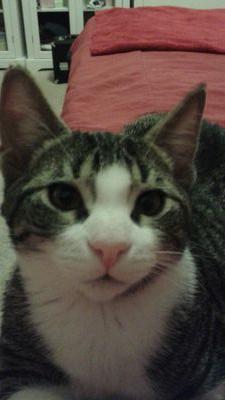 Rebis01's profile picture. 