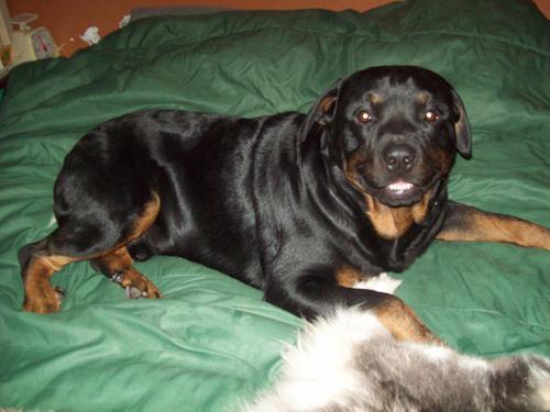 Katiact's profile picture. 