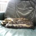 luke bentley - @lukeskywalkerr2 - Twitter