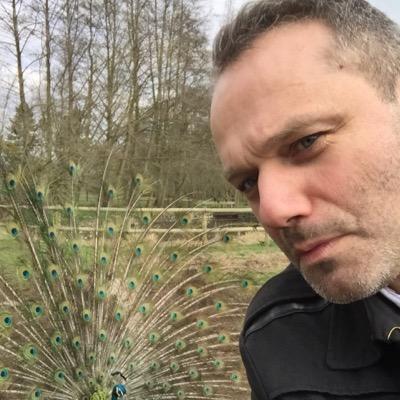 JBFleury's profile picture. Mobile game and online game designer - digital and mobile strategist