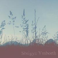 Sbrigyn Ymborth(@SbrigynYmborth) 's Twitter Profile Photo